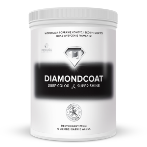 DiamondCoat DeepColor&Super Shine 1000G