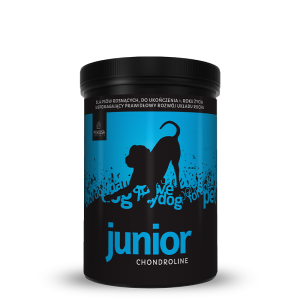 Chondroline Junior 350gr