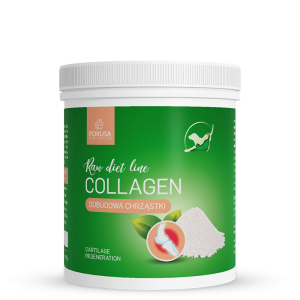 RawDietLine Collagen 700g