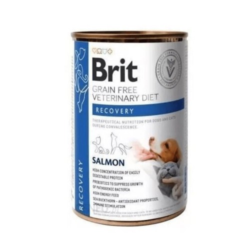 pol_pl_Brit-Grain-Free-Veterinary-Diet-Recovery-mokra-karma-dla-psa-lub-dla-kota-w-trakcie-rekonwalescencji-400g-18090_1.jpg
