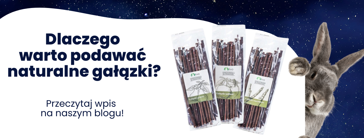 Dlaczego warto podawać naturalne gałązki gryzoniom i królikom?