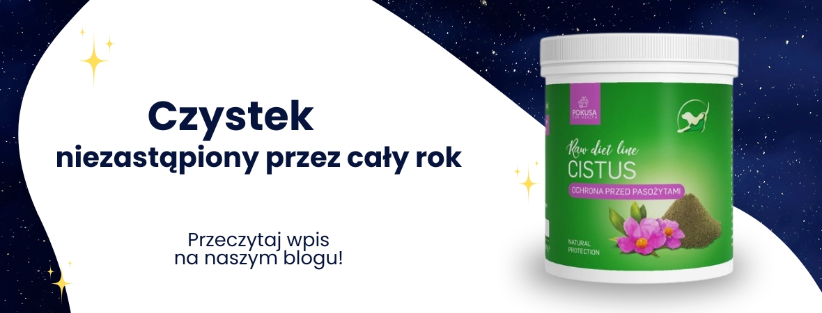 Czystek - niezastąpione wsparcie dla Twojego pupila przez cały rok.