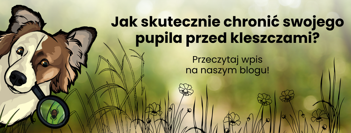 Kleszcze – jak skutecznie chronić swojego pupila?